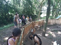 Bienvenue au parc Rêver Réalité