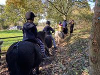 Stages vacances d'hiver : STAGE NATURE