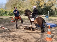 Stages vacances d'hiver : STAGE BABY PONEY